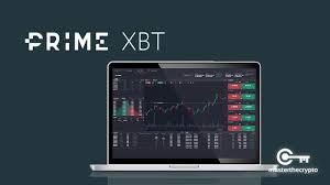 Exploring the Dynamic World of PrimeXBT Traders