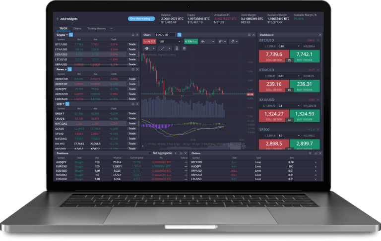 Exploring the Dynamic World of PrimeXBT Traders