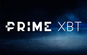 Exploring the Dynamic World of PrimeXBT Traders